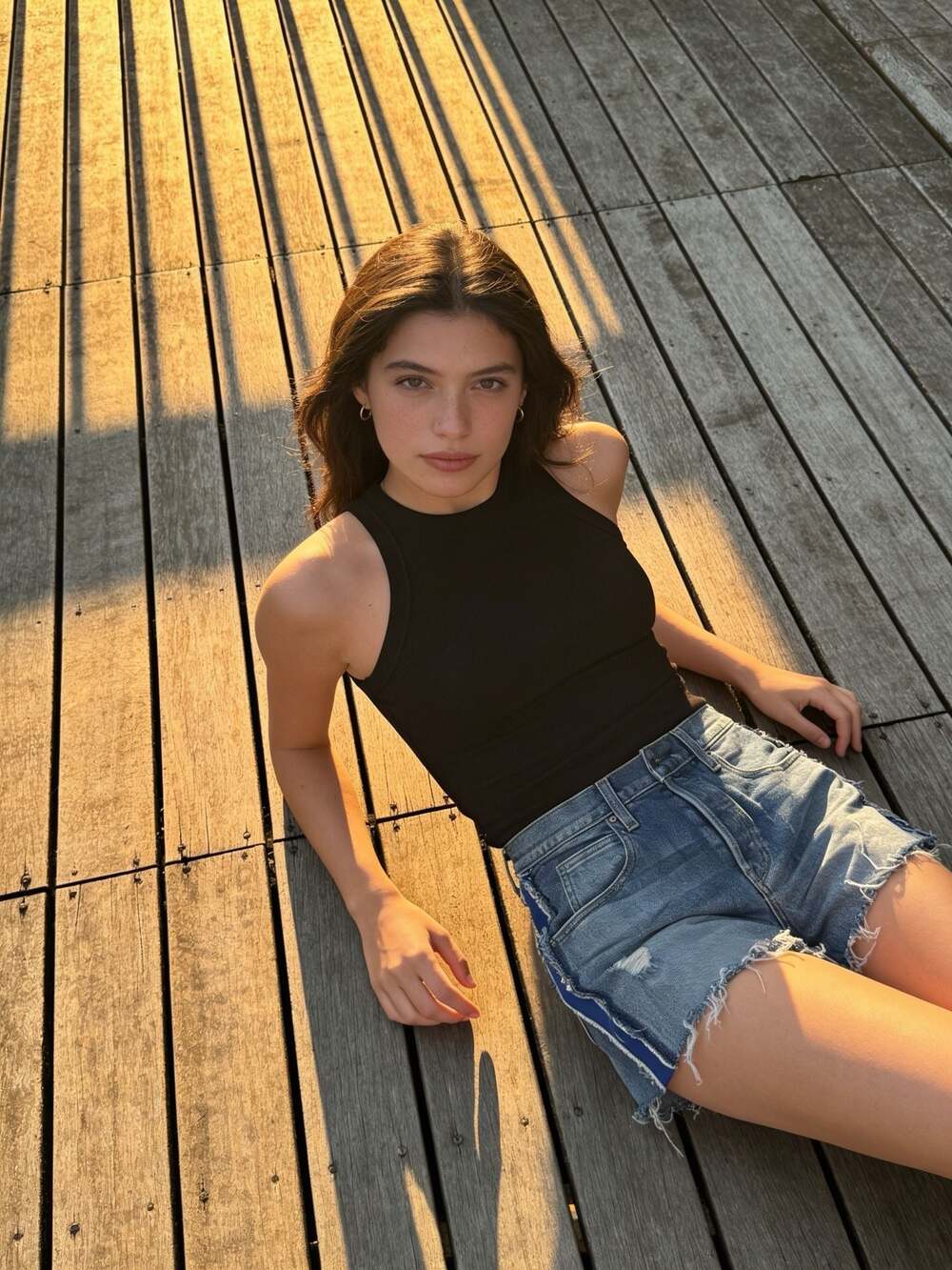 Hudson Los Angeles Button Fly Distressed Denim Shorts with Contrast Side Stripe